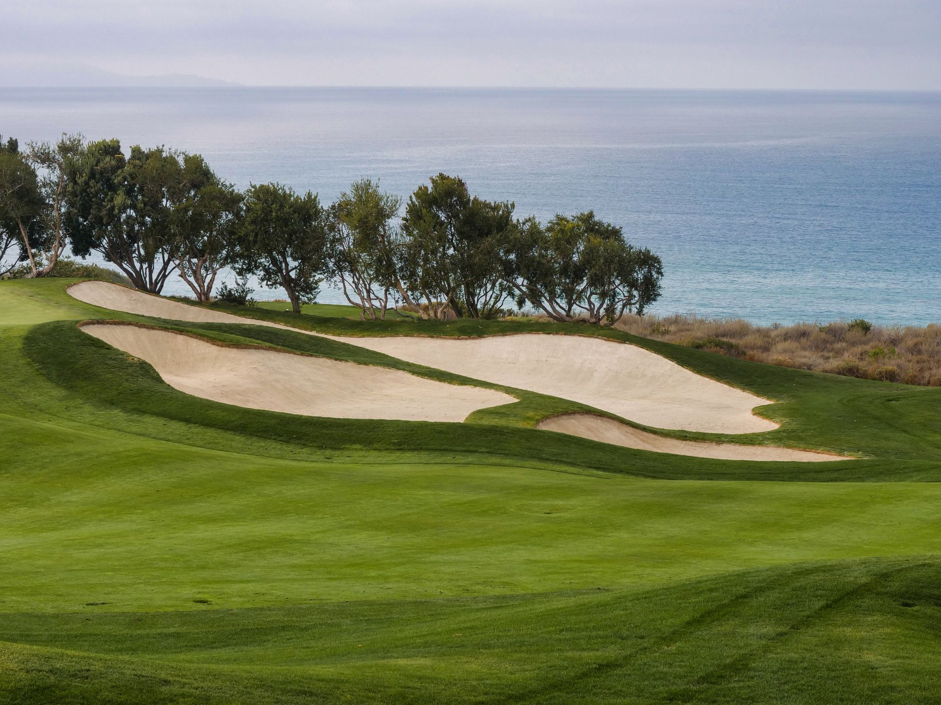 Coastal golf fairway
